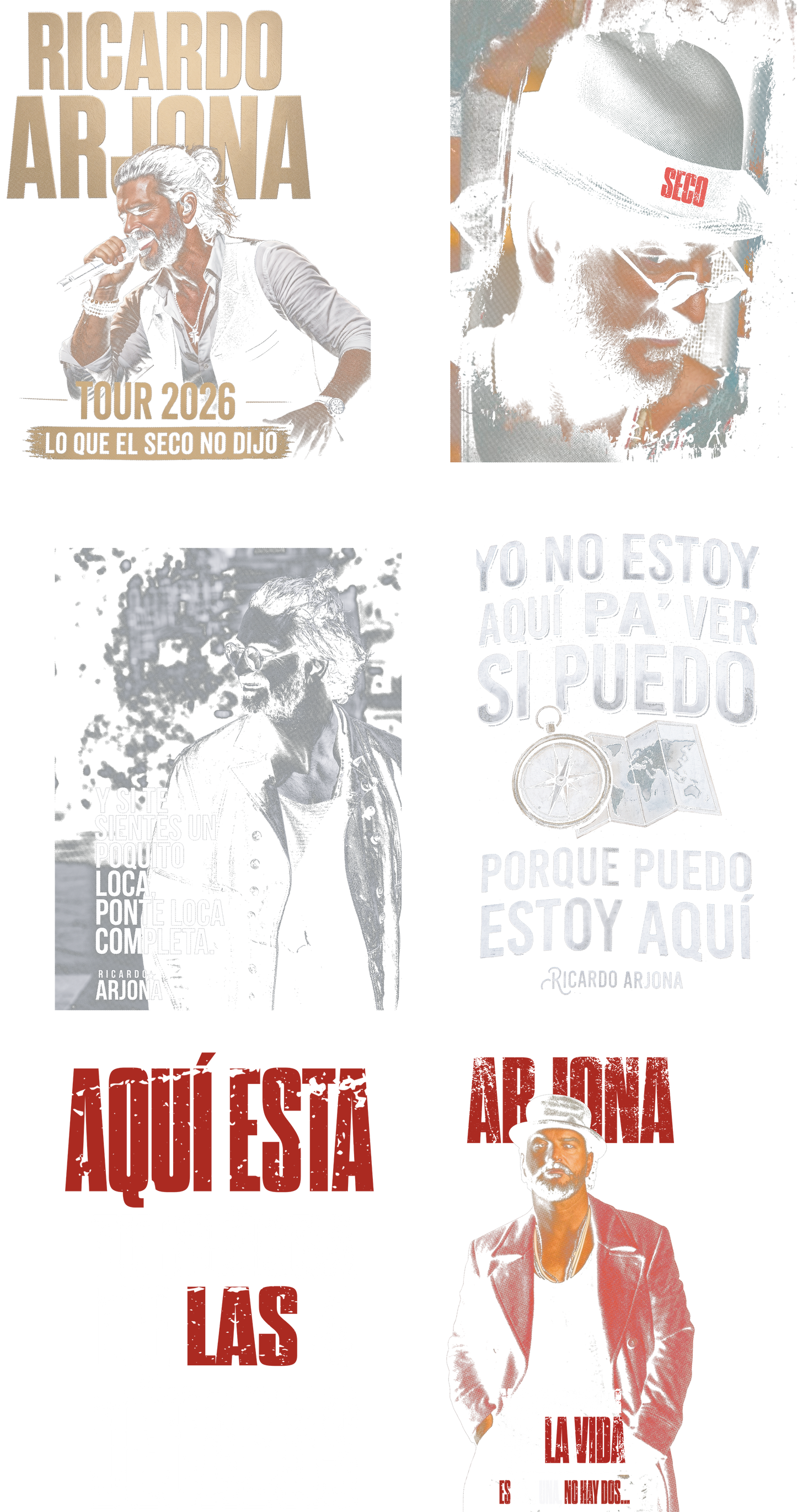 Dtf textil - Ricardo arjona, el seco 2