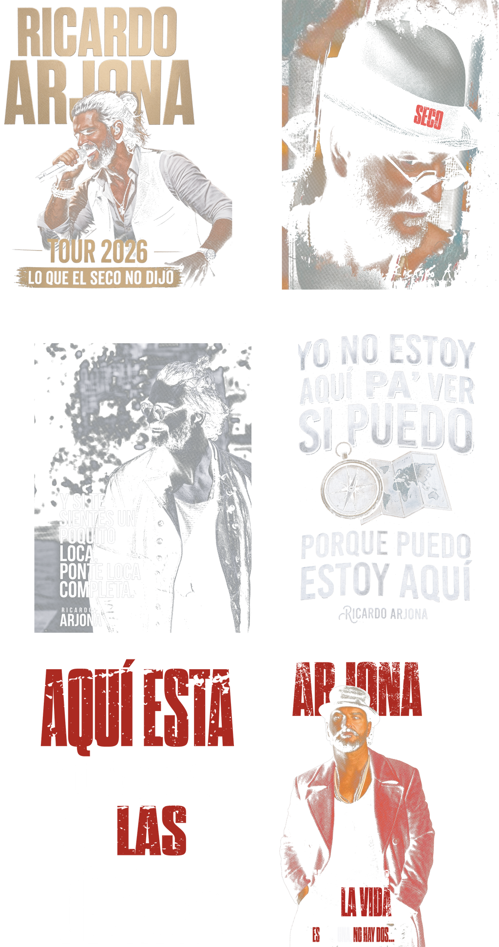 Dtf textil - Ricardo arjona, el seco 2