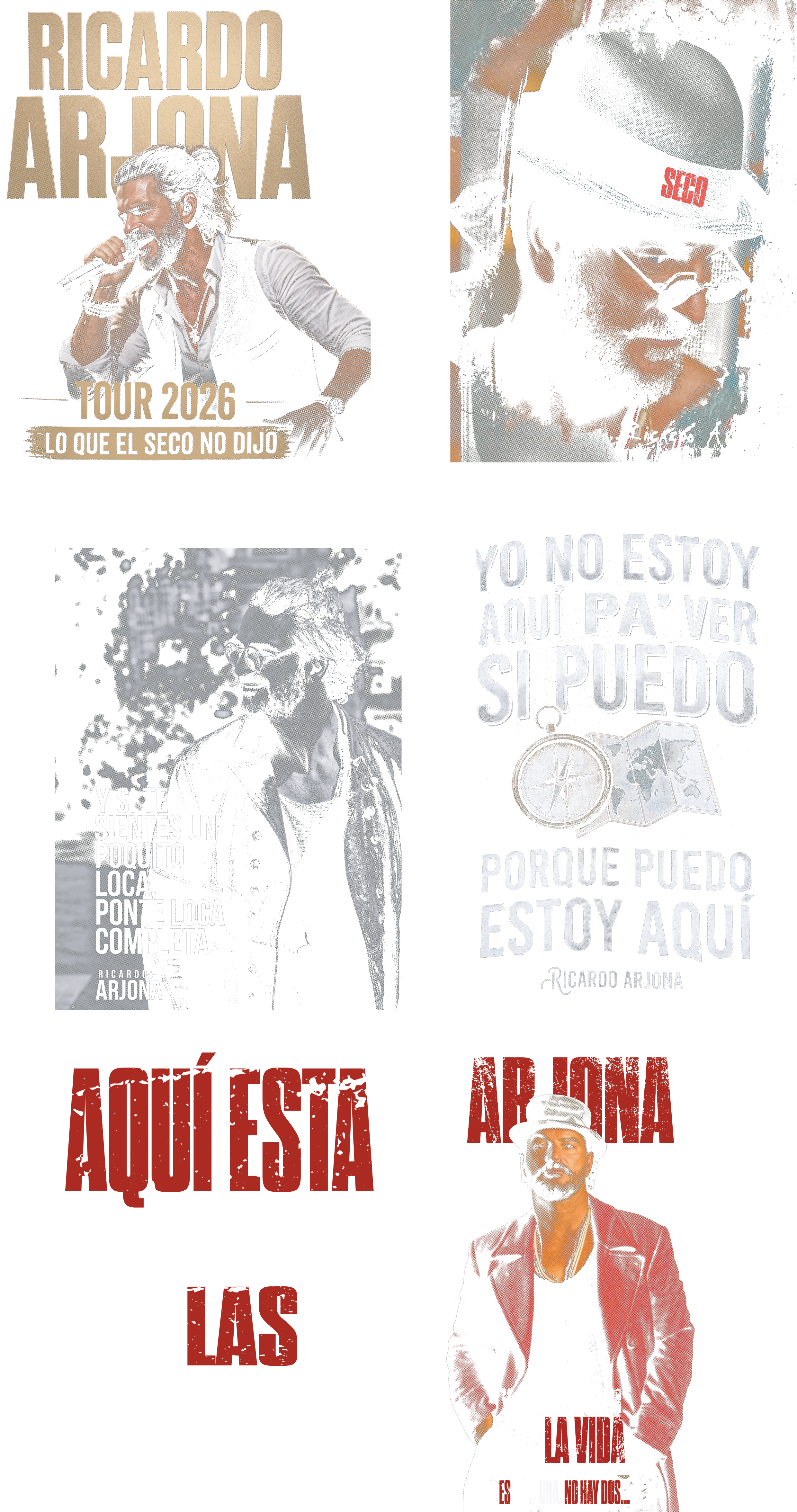 Dtf textil - Ricardo arjona, el seco 2
